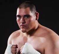 andy ruiz