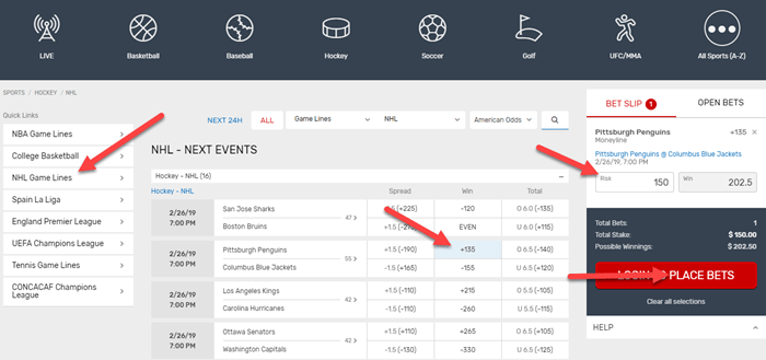 How To Bet On The NHL From Florida - 3 Step Guide