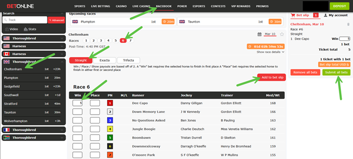 Screenshot showing the steps to place a bet on the 2026 Cheltenham Festival at BetOnline sportsbook.